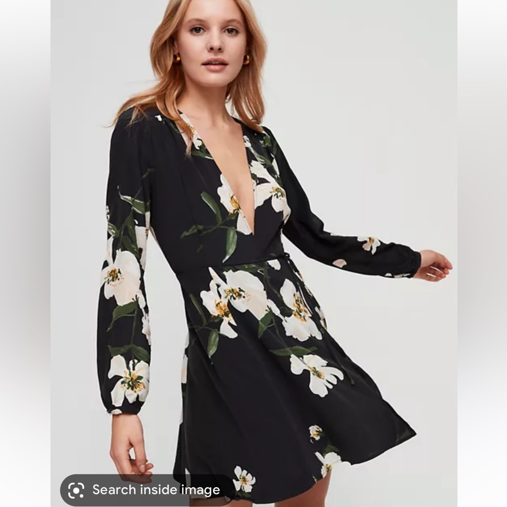 Aritzia Wilfred Diane Silk Wrap Dress
